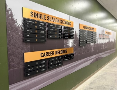Wall Graphics Photo